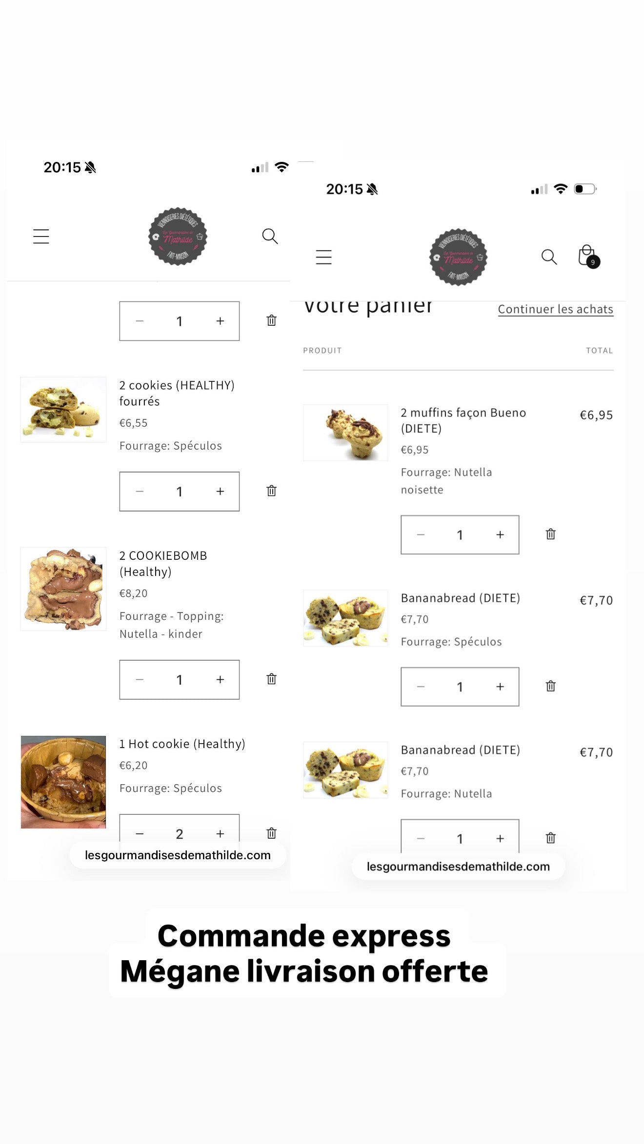 Commande Mégane